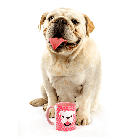TAZA-RADIOCORCHITO