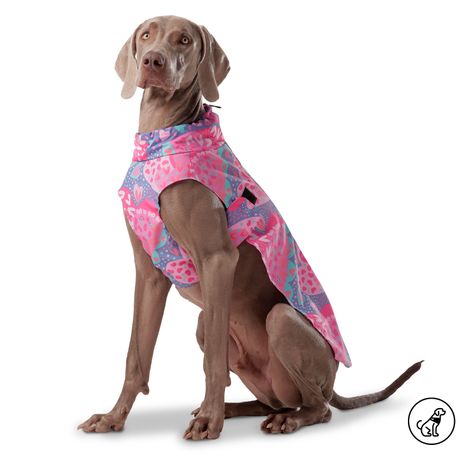 capa-lluvia-mascota-sussy-