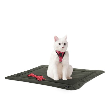 combipets-marzo-2-XS--1-